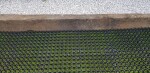 Rojaplast Zatravňovací dlaždice EKOGRID - 50x50x4 cm - černá