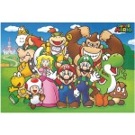 Puzzle Super Mario v dárkovém plechovém boxu 250 dílků - EPEE