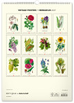 Nástěnný kalendář 2027 Notique Vintage herbář, 33 × 46 cm