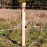 Sada kruhové izolátory pro elektrický ohradník 250 ks včetně šroubovacího nástavce