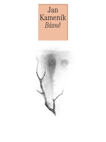 Básně - Dílo Jana Kameníka, sv. 1 - Jan Kameníček