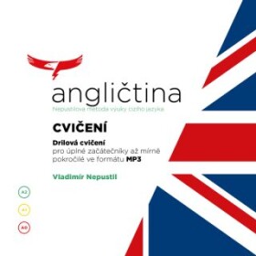 Angličtina - Nepustilova metoda – Cvičení - Vladimír Nepustil - audiokniha