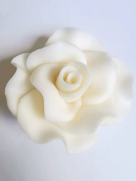 Dortisimo Cukrová růže velká bílá (9 ks)