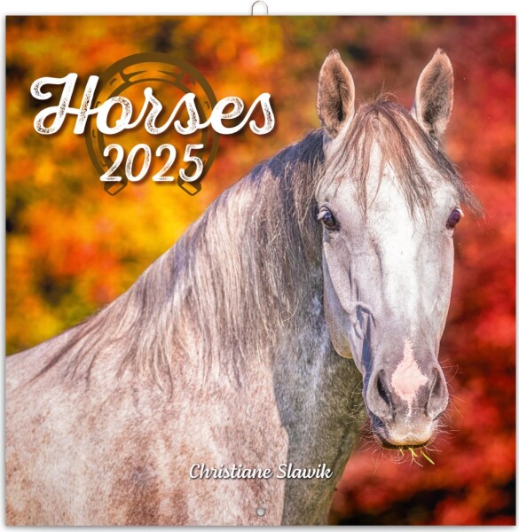 Kalendář 2025 poznámkový: Koně Christiane Slawik, 30 30 cm Christiane Slawik,
