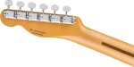 Fender Brad Paisley Road Worn Telecaster MN BSP