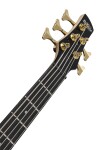 Ibanez GSR205PC Transparent Marine Burst