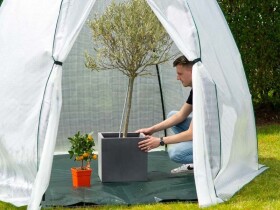 Fóliovník – Avocado 2,5 x 2,5 m