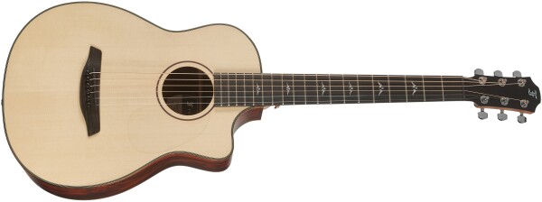 Furch Pioneer Exclusive EC CNR Active