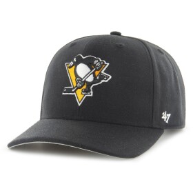 Pittsburgh Penguins Cold