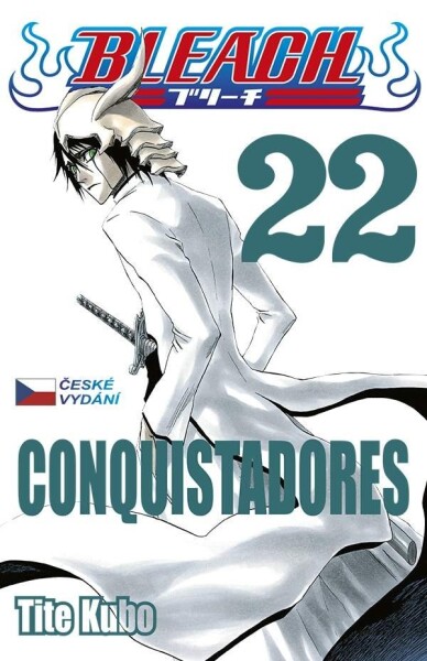 Bleach 22