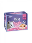 Brit cat Premium D Fillets jelly Family Plate 1 kg