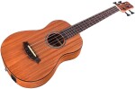 Cordoba Mini II BASS MH-E