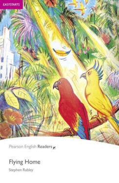 PER | Easystart: Flying Home - Stephen Rabley