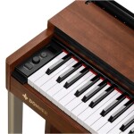 DONNER DDP-200