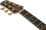 Ibanez AAD371E ATW