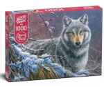 Puzzle Cherry Pazzi 1000 dílků Šedý vlk