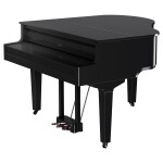 Roland GP-9M PE