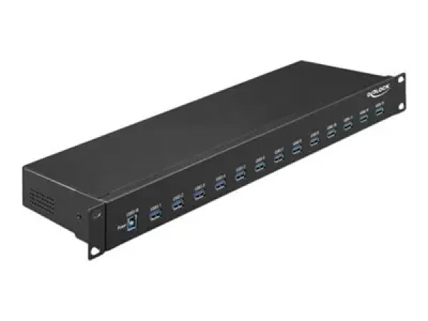 Delock 19" průmyslový USB hub 13x USB-A černá / USB hub / USB 3.2 Gen 1 / 5000 Mbit/s / kov (64039)