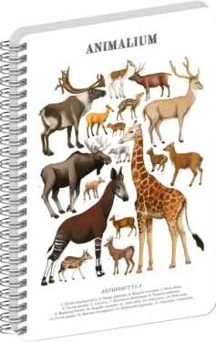 NOTIQUE Animalium – Sudokopytníci / Spirálový blok / A4 / čistý