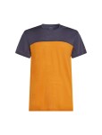 ICEBREAKER Mens Cool-Lite Sphere III SS T Colour, Ray/Graphite/Cb (vzorek) velikost: M