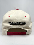 Mitchell & Ness Pánská Kšiltovka Detroit Red Wings Horizon Pro Snapback Vntg