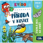 Kvído - Příroda v kostce