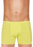 Pánské boxerky BodyandSoul 10/1-13/315 FABIO