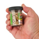 Berkley Červi Gulp! Alive! Waxies,Berkley Červi Gulp! Alive! Waxies