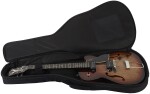 Godin LE 5th Avenue TL P90 Vintage Burst
