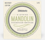 D'Addario J7503