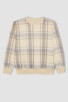 DEFACTO Boy&#39;s Crew Neck Patterned Flannel Sweatshirt