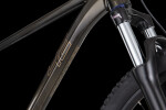 4EVER FRONTBEE XCM 29", rám 19" (L), model 2026, barva gold galaxy - ZDARMA dopravné, odborná montáž, seřízení, pojištění a dárkový poukaz na nákup příslušenství! (Záruka nejlepší ceny. Nalezli jste někde lepší cenu? Napište nám a zkusíme ji trumfnou...