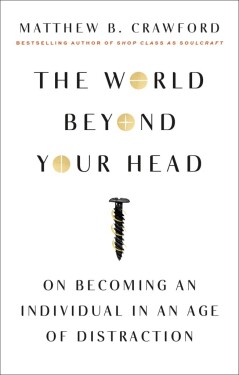 The World Beyond Your Head
