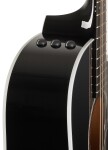 Taylor 250ce-BLK Plus