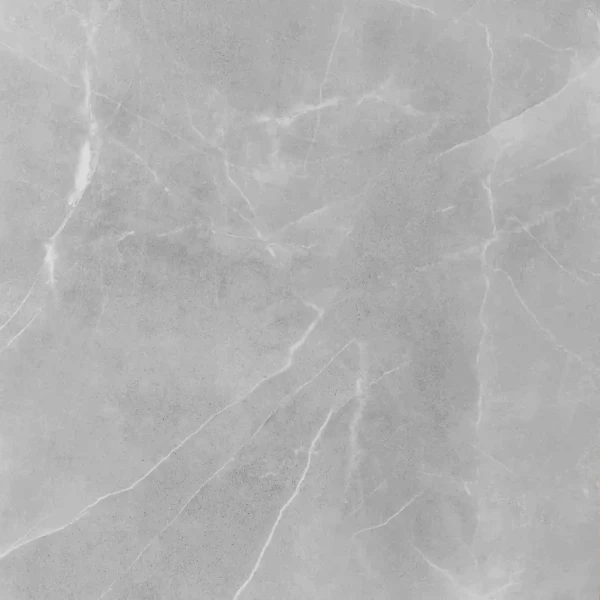 Dlažba Ambrosio Gris 59,7/59,7