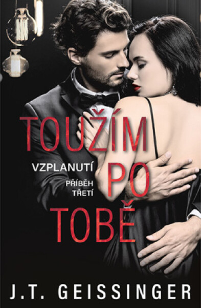 Toužím po tobě - J. T. Geissinger - e-kniha