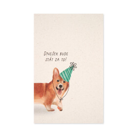 Přání k narozeninám - Corgi - Albi