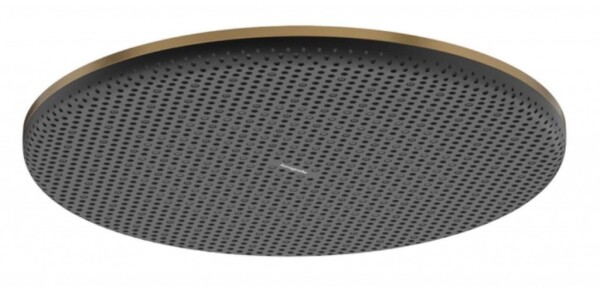 HANSGROHE - Raindance Alive S Hlavová sprcha, průměr 30 cm, EcoSmart+, kartáčovaný bronz 24523140