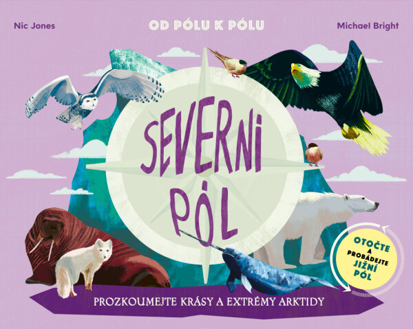 Severní pól, Jižní pól,