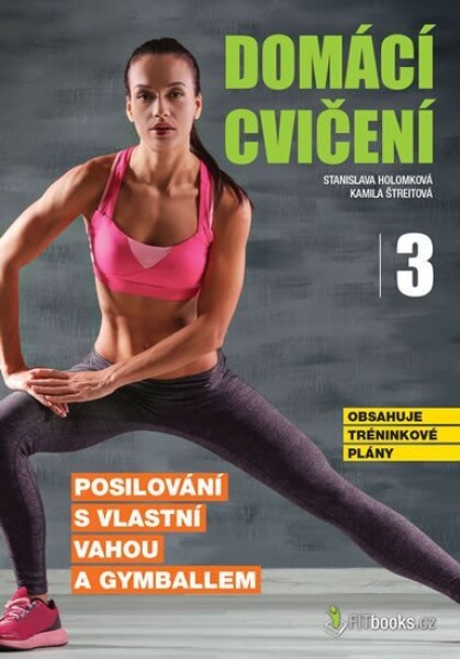 Domácí cvičení 3 - Posilování s vlastní vahou a gymballem - Stanislava Holomková