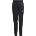 Kalhoty adidas Tiro 23 Club Training Jr IC1588