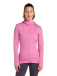 ICEBREAKER W 260 Quantum IV LS Zip Hoodie, Pop velikost: XS