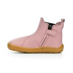 Froddo Chelys G3160245-7 Pink chelsea