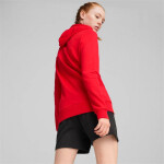 Mikina Puma Team Goal Casuals Hoody W 658621 01 m