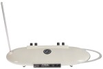 Moog Theremini