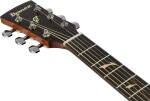 Ibanez PC34MHCE NT