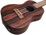 Flight DUC 460 Amara EQ