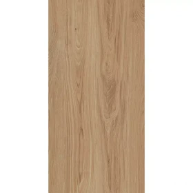 Dlažba Treniwood Brown 59,8/119,8