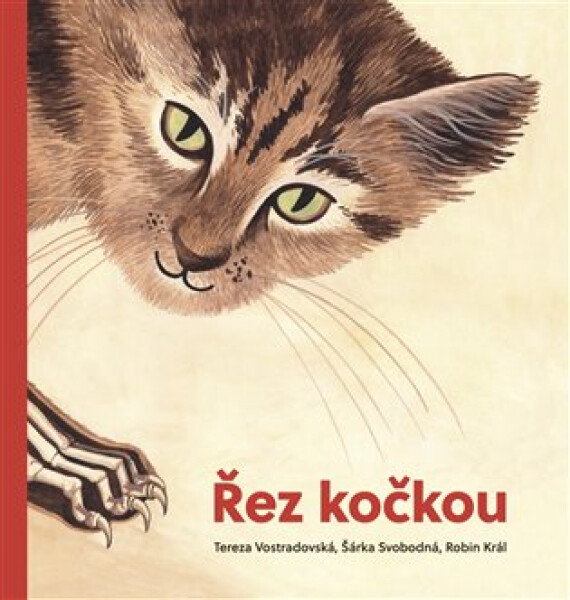 Řez kočkou - Tereza Vostradovská