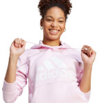 Mikina adidas Essentials Big Logo Regular Fleece IM0255